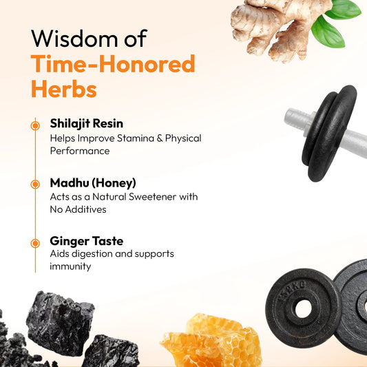 Shilastick Pure Power Stick (Ginger Taste)