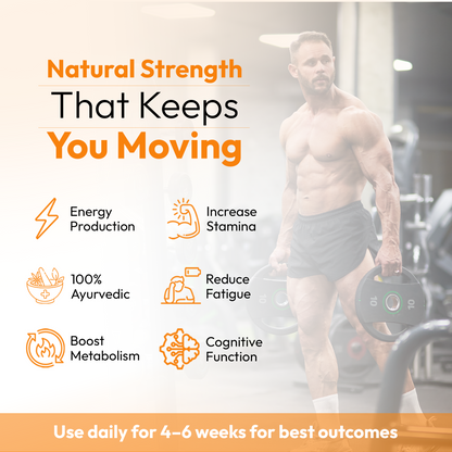 Alpha-Jit Ultra Power Stick