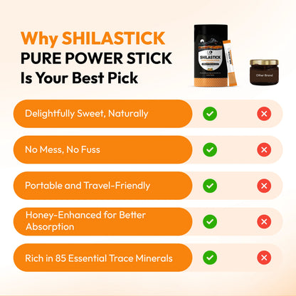 Shilastick Pure Power Stick (Ginger Taste)