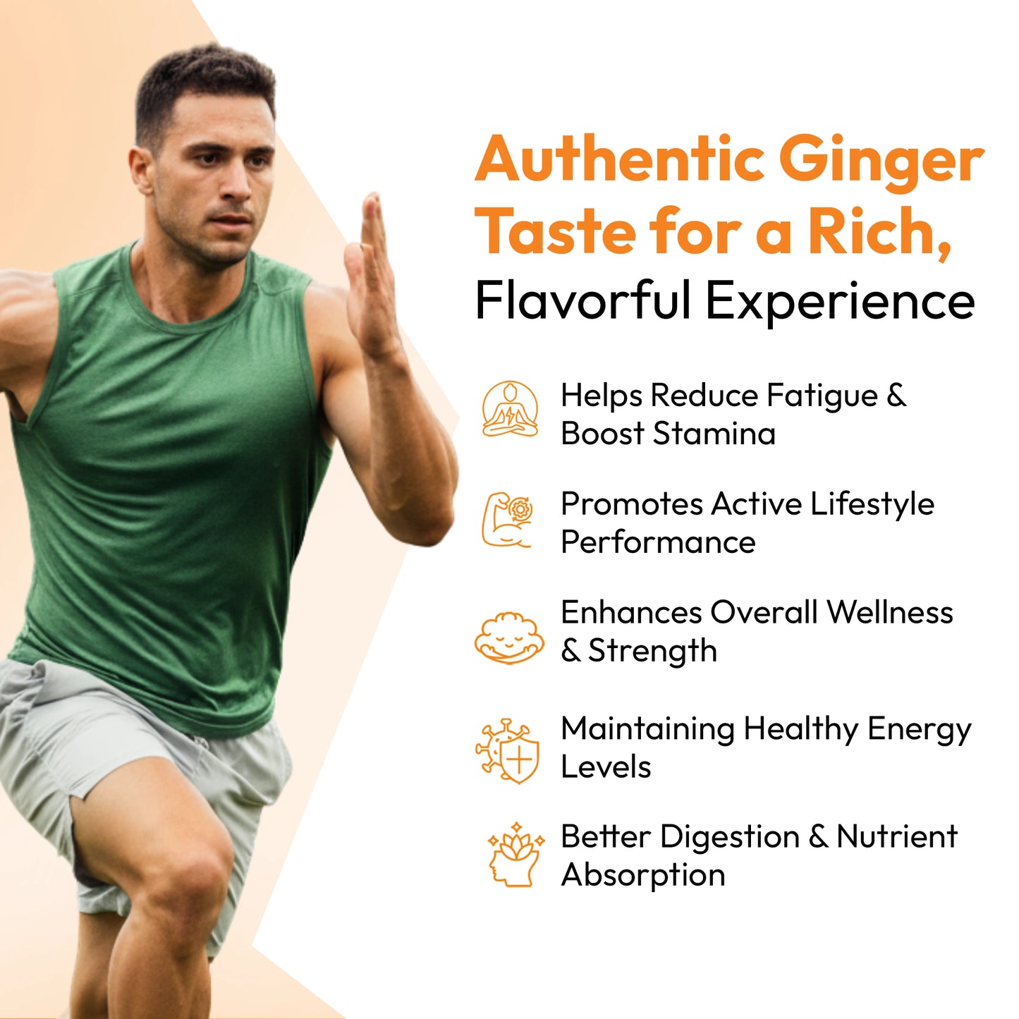 Shilastick Pure Power Stick (Ginger Taste)