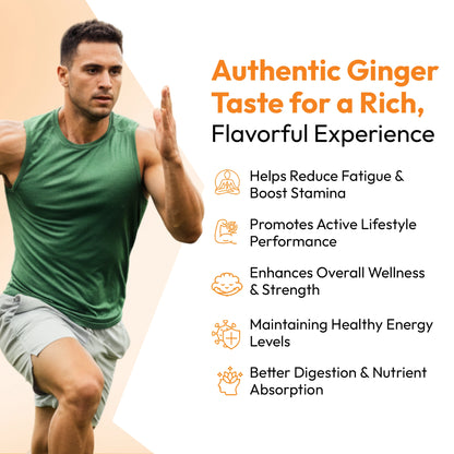 Shilastick Pure Power Stick (Ginger Taste)