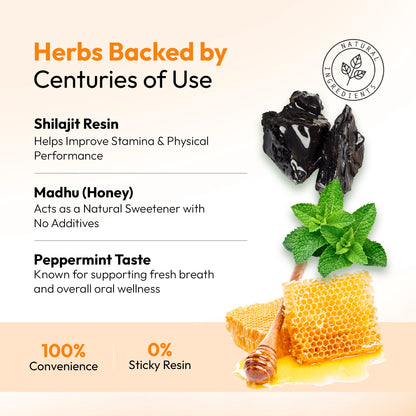 Shilastick Pure Power Stick (Peppermint Taste)